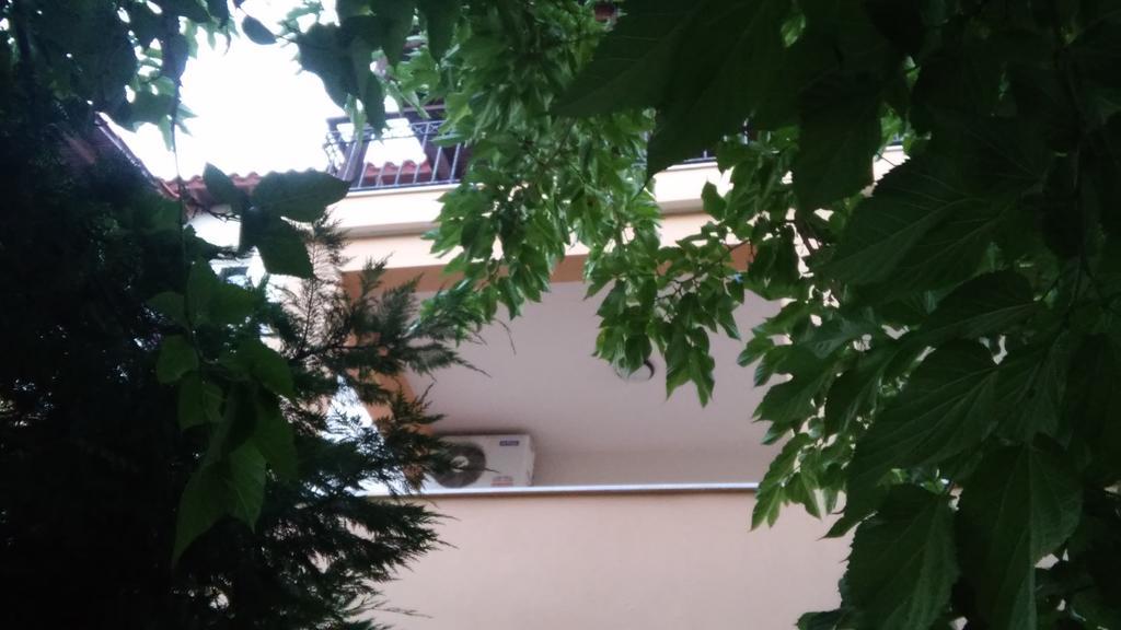 Sivilla Boutique Afytos Zewnętrze zdjęcie